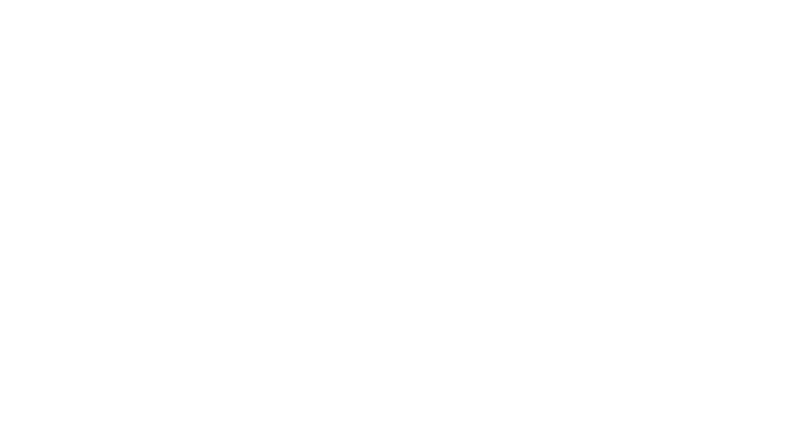 Miguel Semijoias